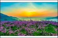 data/B2019/2019/04/11/405359205caf24f5571d5.jpg