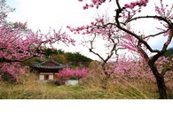 data/B2019/2019/04/12/19307668205cb04ce3cc43a.jpg