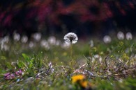 data/B2019/2019/04/13/15611882925cb0f7e54be3a.jpg