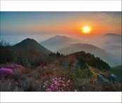 data/B2019/2019/04/13/4361975455cb14ed00bdb3.jpg