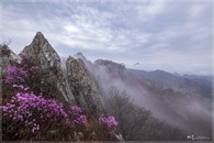 data/B2019/2019/04/13/833665935cb181d84d78a.jpg