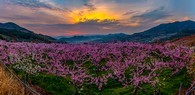 data/B2019/2019/04/14/3655517925cb2c2ea7e185.jpg