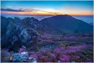 data/B2019/2019/04/15/13969877245cb409077a9e4.jpg
