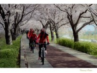 data/B2019/2019/04/15/21322633105cb3e331360b6.jpg