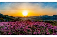 data/B2019/2019/04/16/16691804325cb5af9998767.jpg