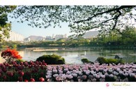 data/B2019/2019/04/16/3942769205cb5034fde1b9.jpg