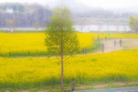 data/B2019/2019/04/16/7040499945cb5c95ded2b0.jpg