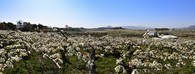 data/B2019/2019/04/16/7715153405cb592760bf38.jpg