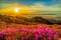 data/B2019/2019/04/17/12831587885cb6648e52aad.jpg