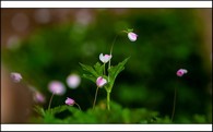 data/B2019/2019/04/17/13602510055cb708eed3785.jpg
