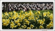 data/B2019/2019/04/17/15039754015cb7117b24a35.jpg