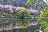 data/B2019/2019/04/17/5050869435cb6dad5c0b82.jpg