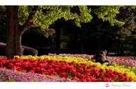 data/B2019/2019/04/17/971509865cb69db6178ee.jpg