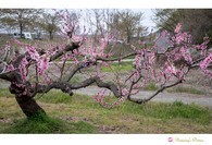data/B2019/2019/04/18/1200916015cb7c59e1ead4.jpg