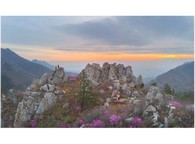 data/B2019/2019/04/18/5996701395cb7af2084ed5.jpg