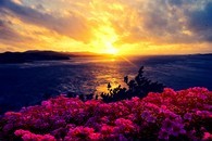 data/B2019/2019/04/18/8219785295cb7ee8fa9441.jpg