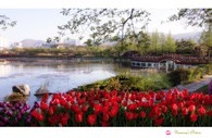 data/B2019/2019/04/19/13342785905cb929a8076cd.jpg