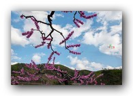 data/B2019/2019/04/19/21306399645cb92409e5eb7.jpg