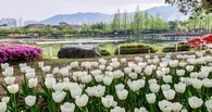 data/B2019/2019/04/19/8733881235cb90946a0d14.jpg