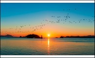data/B2019/2019/04/20/2152720255cbb0b19e2ded.jpg