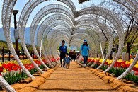 data/B2019/2019/04/21/17378741445cbc453d77772.jpg