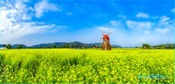data/B2019/2019/04/23/9054566405cbe5237c33b9.jpg