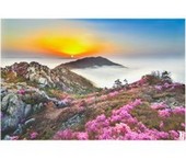 data/B2019/2019/04/24/8540221205cbfb9e5b83a5.jpg