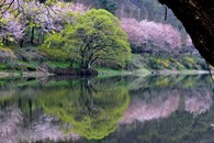 data/B2019/2019/04/25/16331402825cc0dc2f6247c.jpg