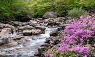 data/B2019/2019/04/25/6439683375cc0d4ff64cd0.jpg