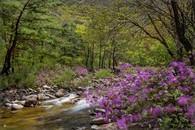 data/B2019/2019/04/27/16368968715cc42f9eb1fa8.jpg
