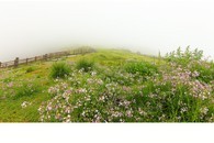 data/B2019/2019/04/27/6110690515cc41fd99e003.jpg