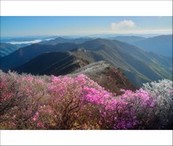 data/B2019/2019/04/28/10071041525cc53b70b1b8d.jpg