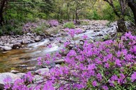 data/B2019/2019/04/28/13927033575cc56702a45d4.jpg
