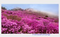 data/B2019/2019/04/28/17211748445cc5b883ded8b.jpg