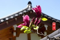 data/B2019/2019/04/28/5500960805cc4f805b7c85.jpg