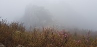data/B2019/2019/04/29/11756049775cc5cf0b5f1ef.jpg