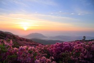 data/B2019/2019/04/29/14448980155cc5cfe40fc2a.jpg