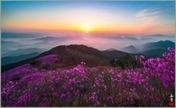 data/B2019/2019/04/29/14457440385cc5cf2a9de78.jpg