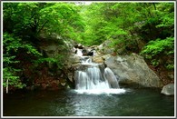 data/B2019/2019/04/29/18015985645cc69cc45718b.jpg
