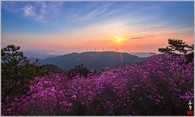 data/B2019/2019/04/29/811544215cc5ced86a5a3.jpg