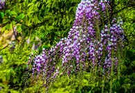 data/B2019/2019/04/30/16540640835cc83bec215db.jpg