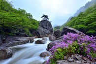 data/B2019/2019/04/30/8900178485cc787c79bf2f.jpg