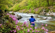 data/B2019/2019/05/01/6091374895cc96070d93f3.jpg