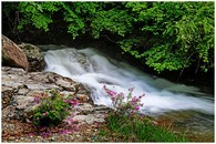 data/B2019/2019/05/01/7925119755cc961c842f17.jpg
