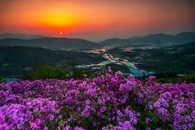 data/B2019/2019/05/06/21061640625ccff2823951a.jpg