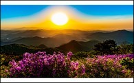 data/B2019/2019/05/07/18598563445cd16a6a2bc2c.jpg