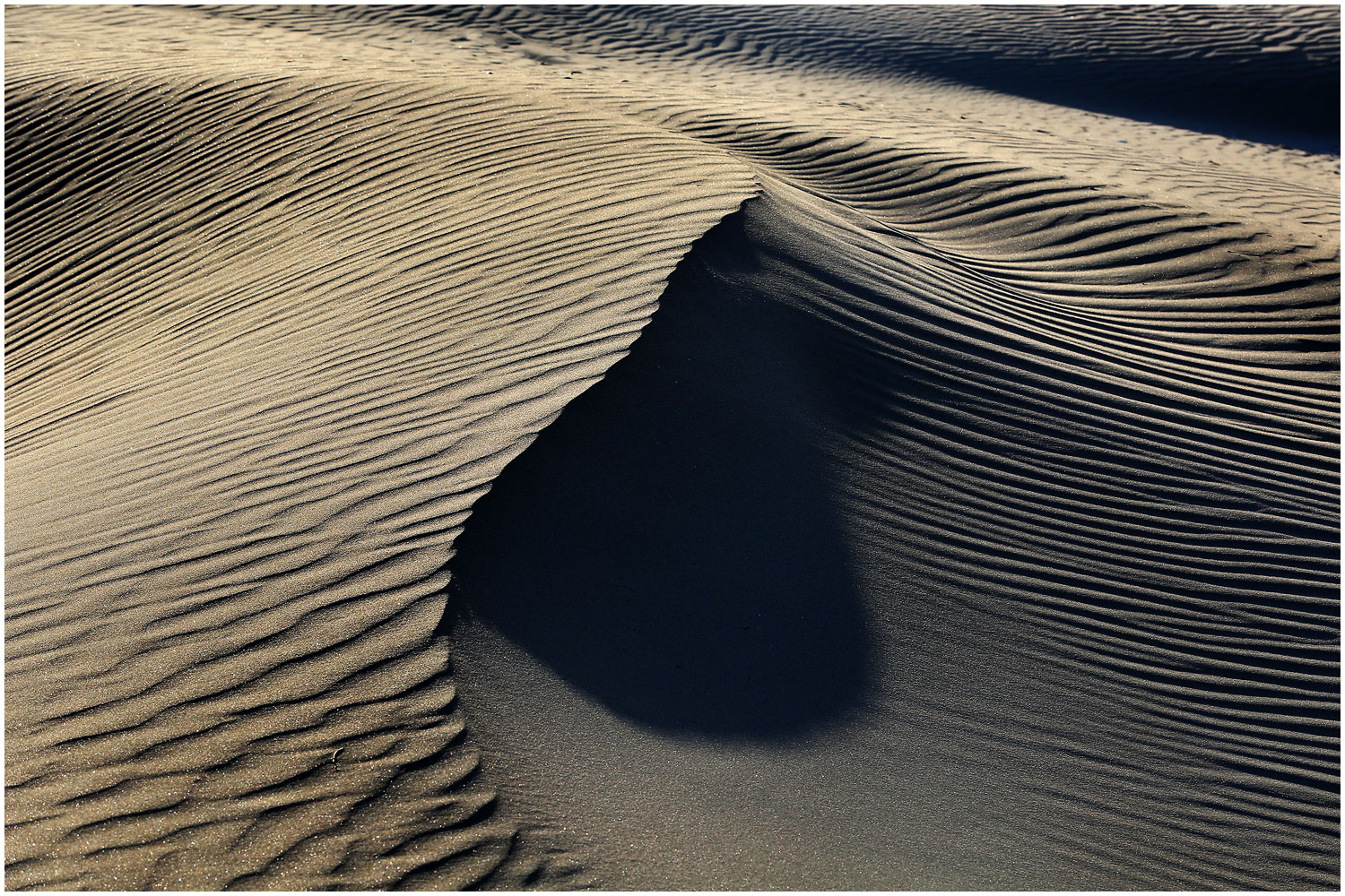 | PHOTO BY : 몰운대/조태열  |