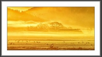 2022-01-03