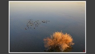 2022-01-09