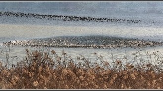 2022-01-09